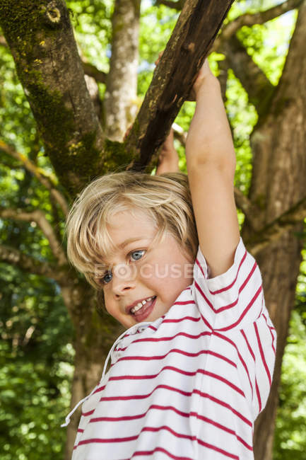 Joyeux petit garçon grimpant sur un arbre — Photo de stock