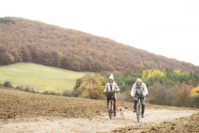 Senior couple doing a bicycle trip with dog — Stock Photo