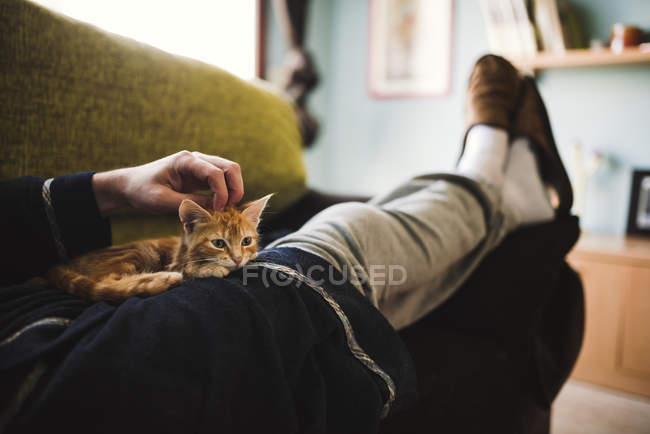 Mulher deitada no sofá e acariciando gatinho no colo — na volta, Gato  doméstico - Stock Photo | #174002832