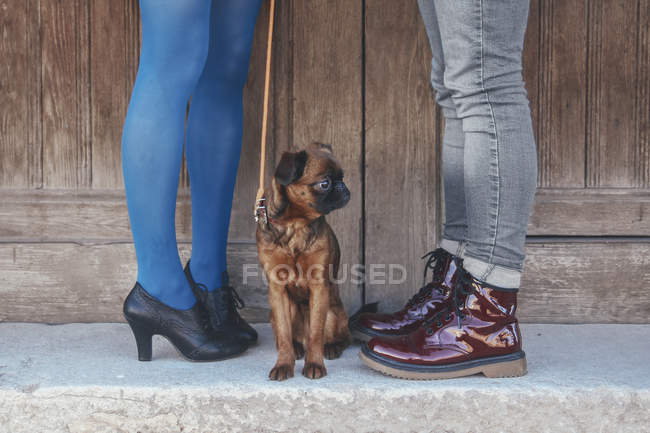 Jambes de couple avec chien entre eux — Photo de stock