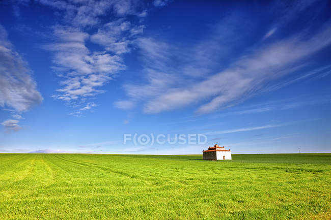 Spagna, Provincia di Zamora, edificio nel mezzo di un campo coltivato — Foto stock
