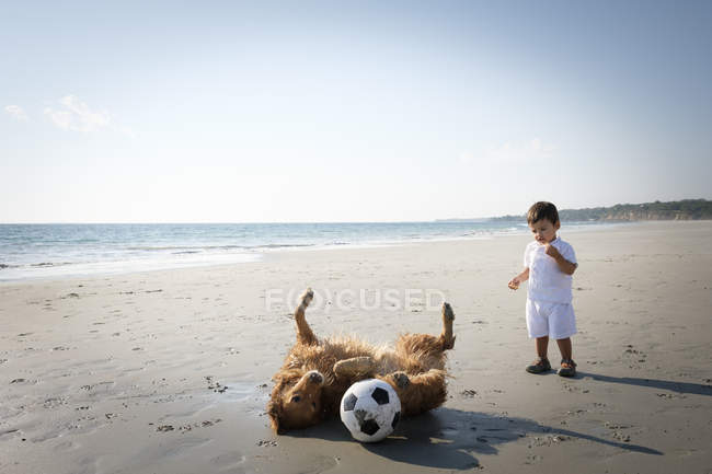 Boy watching dog rolling around on the sandy beach — Stock Photo