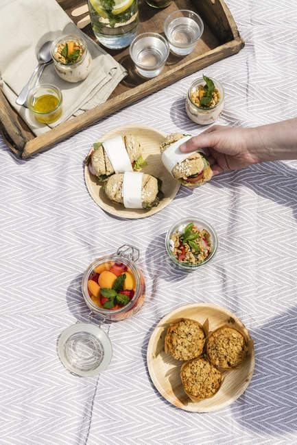 Vista recortada de la mano recogiendo sándwich de plato con platos de picnic alrededor - foto de stock