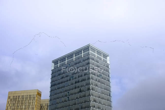 Luxembourg, crane formation flying over skyscrapers — Stock Photo