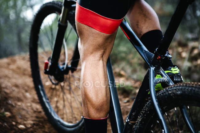 Primer plano del ciclista de montaña en el sendero forestal - foto de stock
