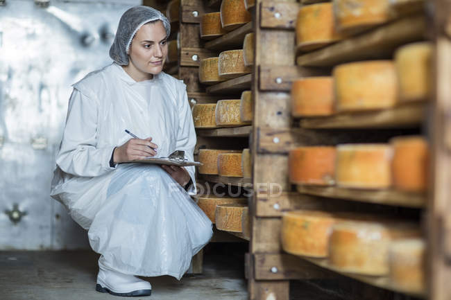 Ouvrier d'usine de fromage contrôlant la maturation du fromage — Photo de stock