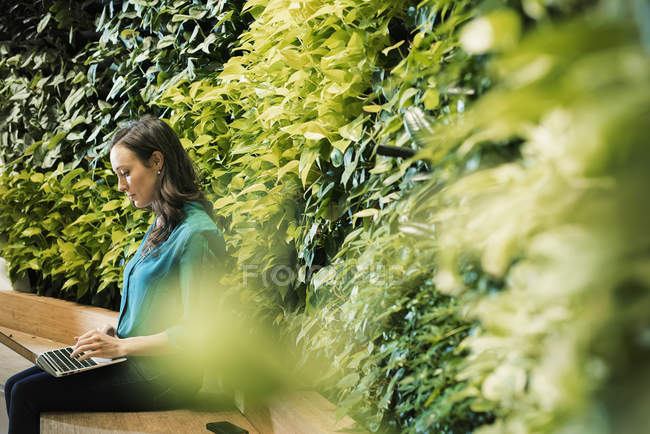 Молода жінка, використовуючи ноутбук перед Зелена рослина стіни — стокове фото