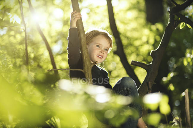 Девушка в лесу забирается на дерево — стоковое фото