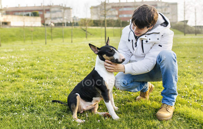 Giovane uomo petting bull terrier sul prato verde — Foto stock
