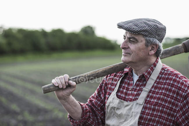 Фермер держит инструмент перед полем — стоковое фото