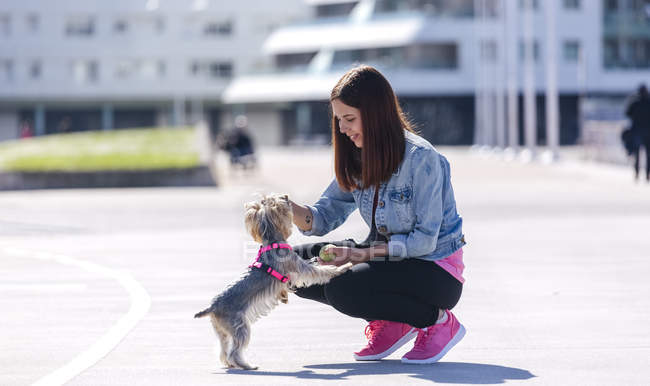 Jovem mulher brincando com seu Yorkshire Terrier — Fotografia de Stock