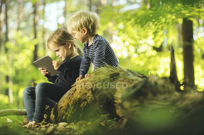 Fratello e sorella nella foresta utilizzando tablet digitale — Foto stock
