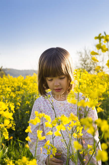 Retrato de menina no campo de estupro amarelo — Fotografia de Stock