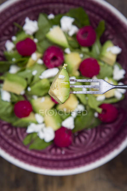 Avocado on fork with salad — Stock Photo