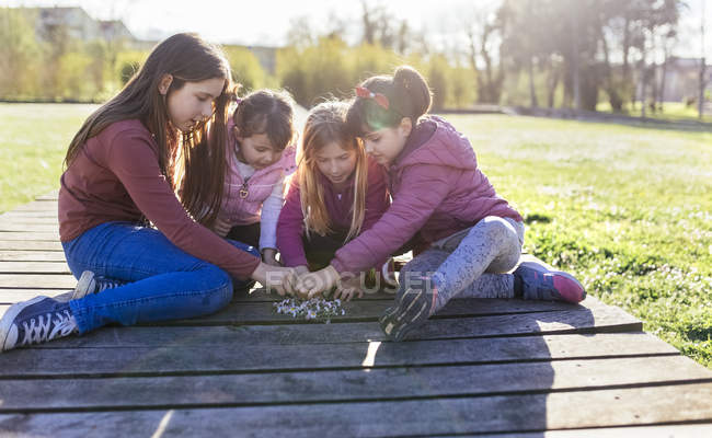 Четыре девушки, приседающие на набережной с ромашками на лугу — стоковое фото