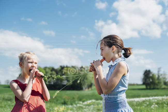 Chicas comiendo zanahorias - foto de stock