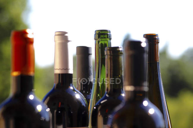 Primer plano de Fila de diferentes botellas de vino - foto de stock