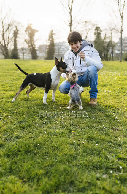 Jovem brincando com cães no prado verde — Fotografia de Stock
