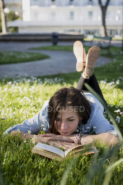 Знакомство В Парке Книга В парке книга знакомство