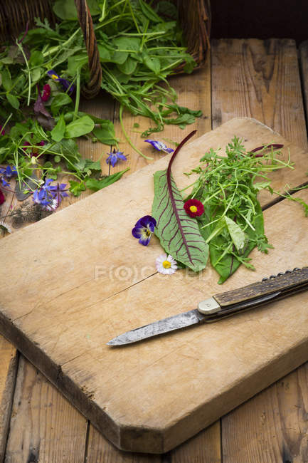 Herbes fraîches et fleurs comestibles — Photo de stock
