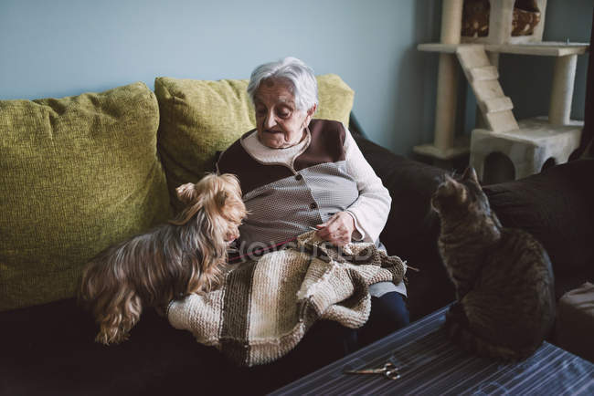 Mulher sênior sentada no treinador de sua sala de estar com seu Yorkshire Terrier enquanto seu gato assisti-los — Fotografia de Stock