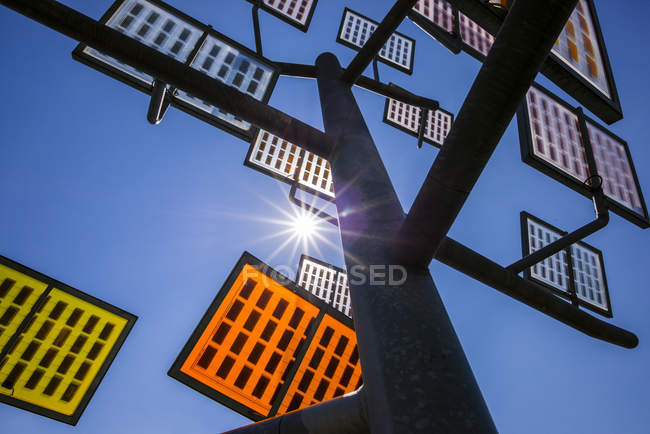 Германия, Ульм, солнечное дерево в Солнечном городе, вид снизу — стоковое фото