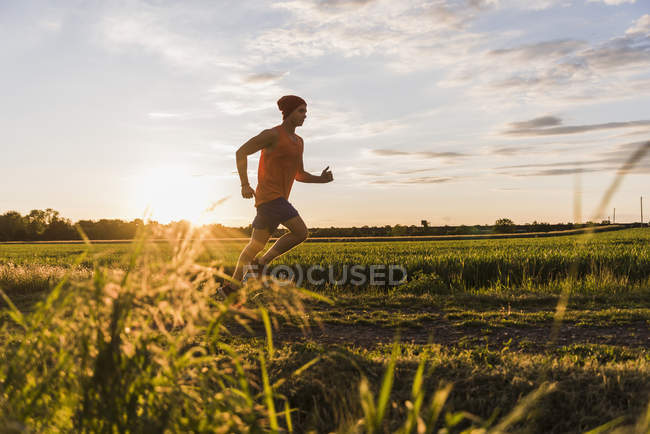 Young man jogging, against the sun — Stock Photo