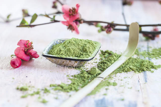 Matcha powder, pink flowers and bamboo matcha spoon — Stock Photo