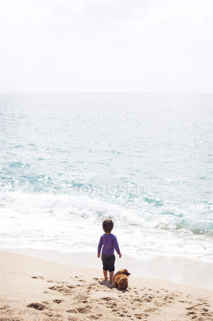 Pequeno menino de pé ao lado do cão na praia e olhando para o mar — Fotografia de Stock