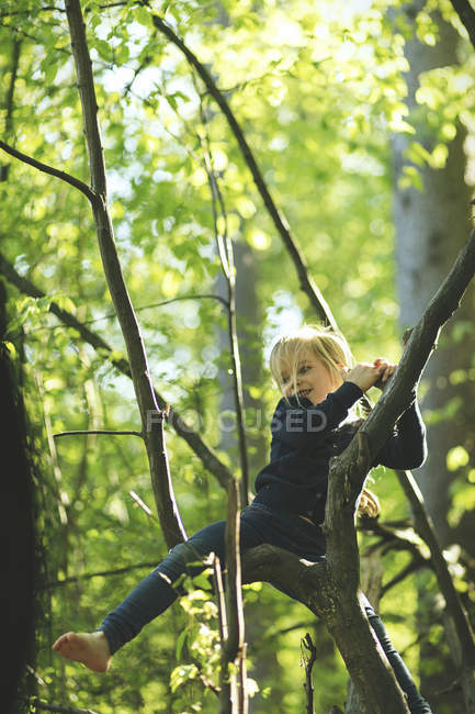 Дівчина в лісі скелелазіння на дереві — стокове фото