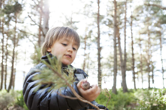 Retrato de un niño jugando con una rama de coníferas en el bosque - foto de stock