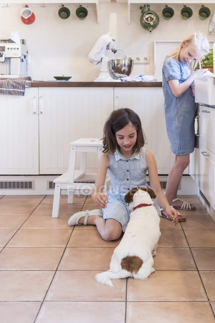 Two Little Girls Playing With Dog In Kitchen Joy Animal Stock Photo 176870460