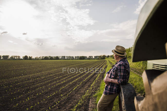 Фермер стоїть на полі — стокове фото