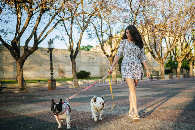 Женщина выгуливает двух собак — стоковое фото