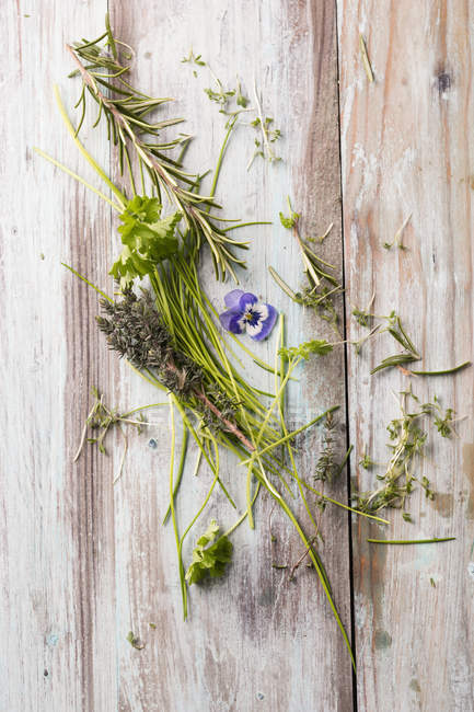 Different fresh herbs and edible flower on wood — Stock Photo
