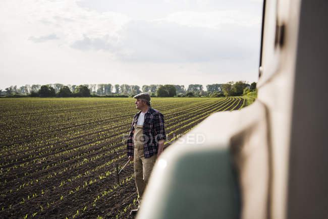 Bauer steht auf einem Feld — Stockfoto