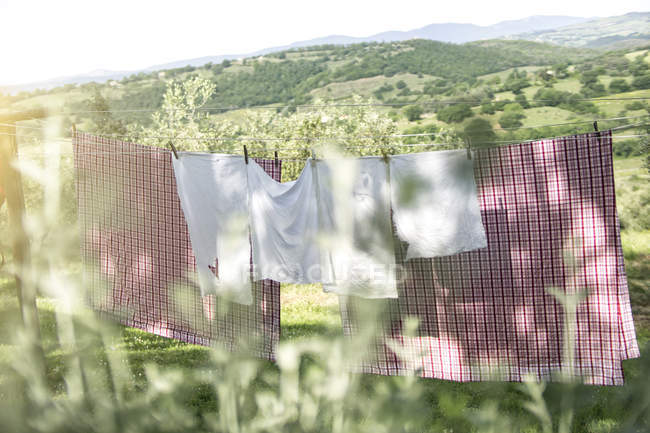 Italia, Toscana, asciugatura biancheria in lavatrice — Foto stock