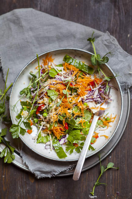 Salada de arco-íris com folhas de espinafre, ervilhas, cenouras, brotos de feijão mungo, quinoa, salsa, brotos de ervilha e repolho vermelho — Fotografia de Stock