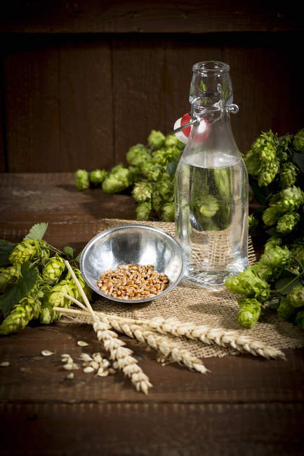 Ingedients for beer brewing, water, barley, hops and malt — Stock Photo