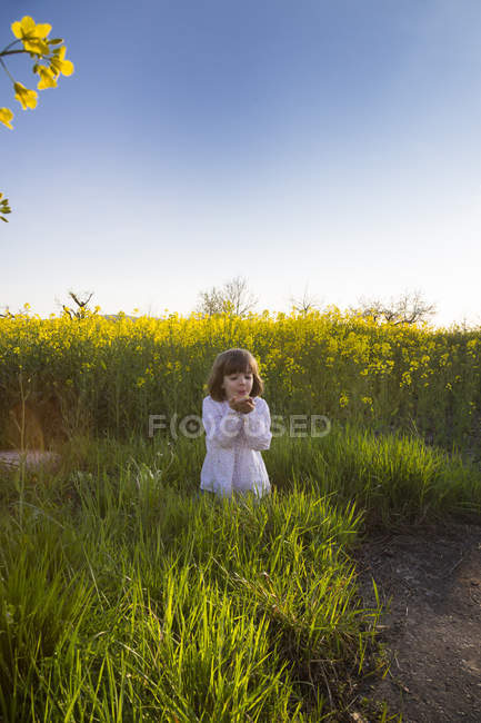 Ritratto di ragazza in piedi in campo stupro — Foto stock