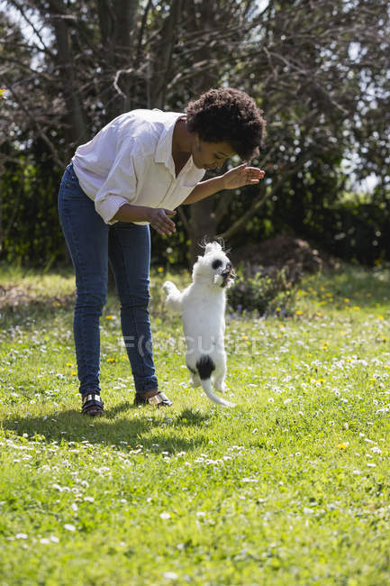 Mujer jugando con perro en prado - foto de stock