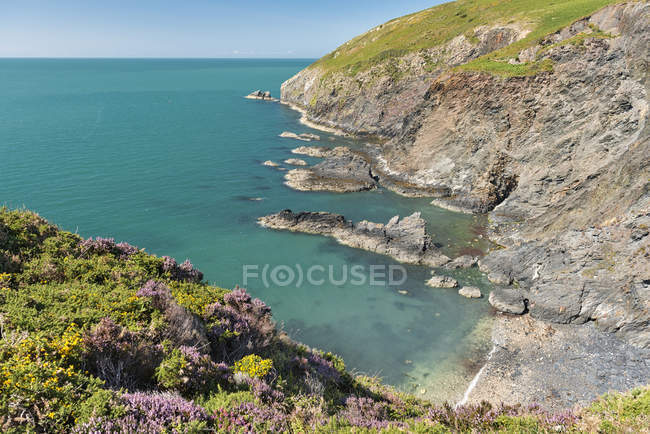 Uk, wales, dinas head halbinsel am pembrokeshire coast nationalpark in der nähe von newport — Stockfoto