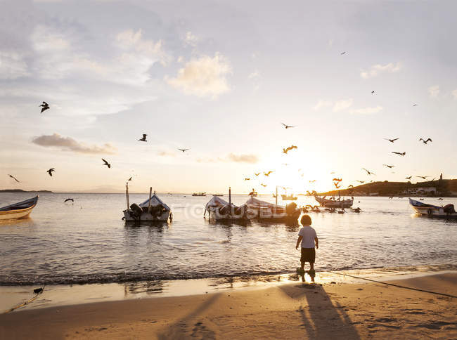 Венесуела Ісла Маргарита, Хуан грецького, маленький хлопчик стоїть на пляжі на заході сонця — стокове фото