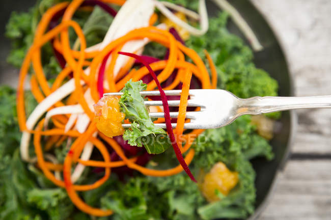 Salad with kale, beetroot, parsnips, carrots and orange closeup view with fork — Stock Photo