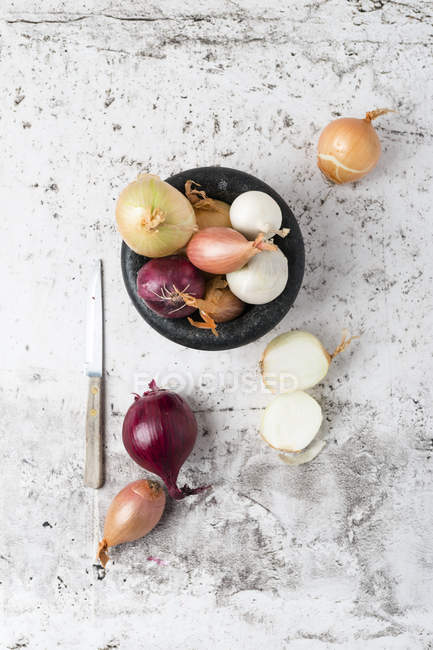 Cipolle diverse in ciotola su superficie di marmo — Foto stock