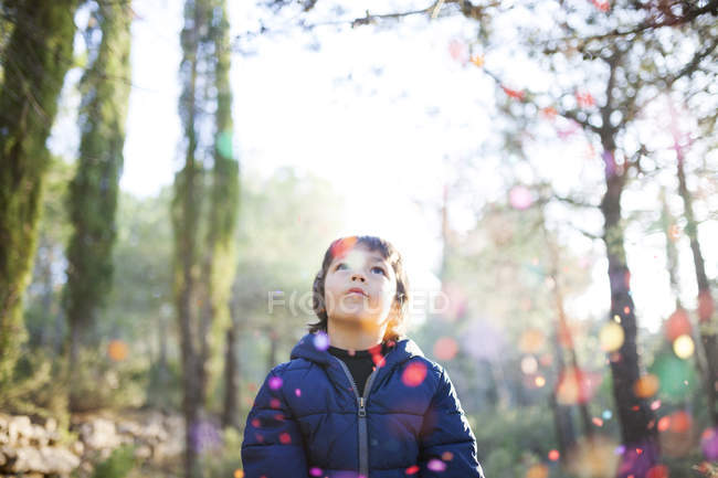Little boy looking up to falling confetti in the air — Stock Photo