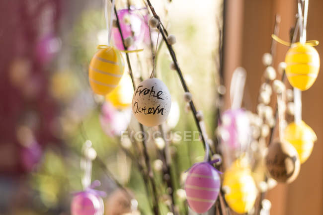 Ramitas de sauces de coño decoradas con huevos de Pascua - foto de stock