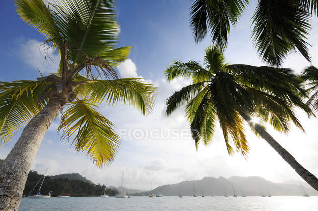 Panama, Isla Linton, bay with sailing boats — Stock Photo