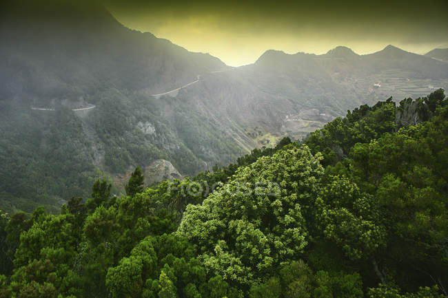 Таганана в горах Анаги, Канарские острова, Тенерифе — стоковое фото
