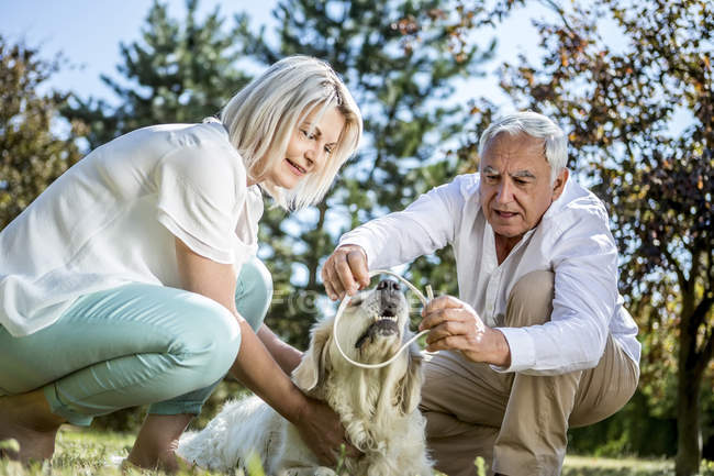 Elderly couple with dog on a meadow — Stock Photo